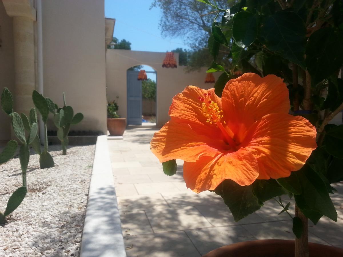 The Proud Garden Bed & Breakfast Carovigno Luaran gambar