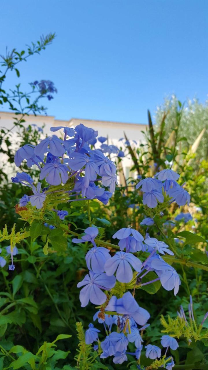 The Proud Garden Bed & Breakfast Carovigno Luaran gambar